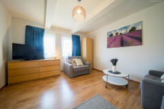 Salon-Dom-Rustykalny-na-Ponidziu-13