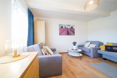 Salon-Dom-Rustykalny-na-Ponidziu-5