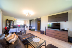 WYGODNY-DOM-NA-PONIDZIU-SALON-4