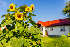 Wygodny-Dom-na-Ponidziu-z-zewnatrz-3