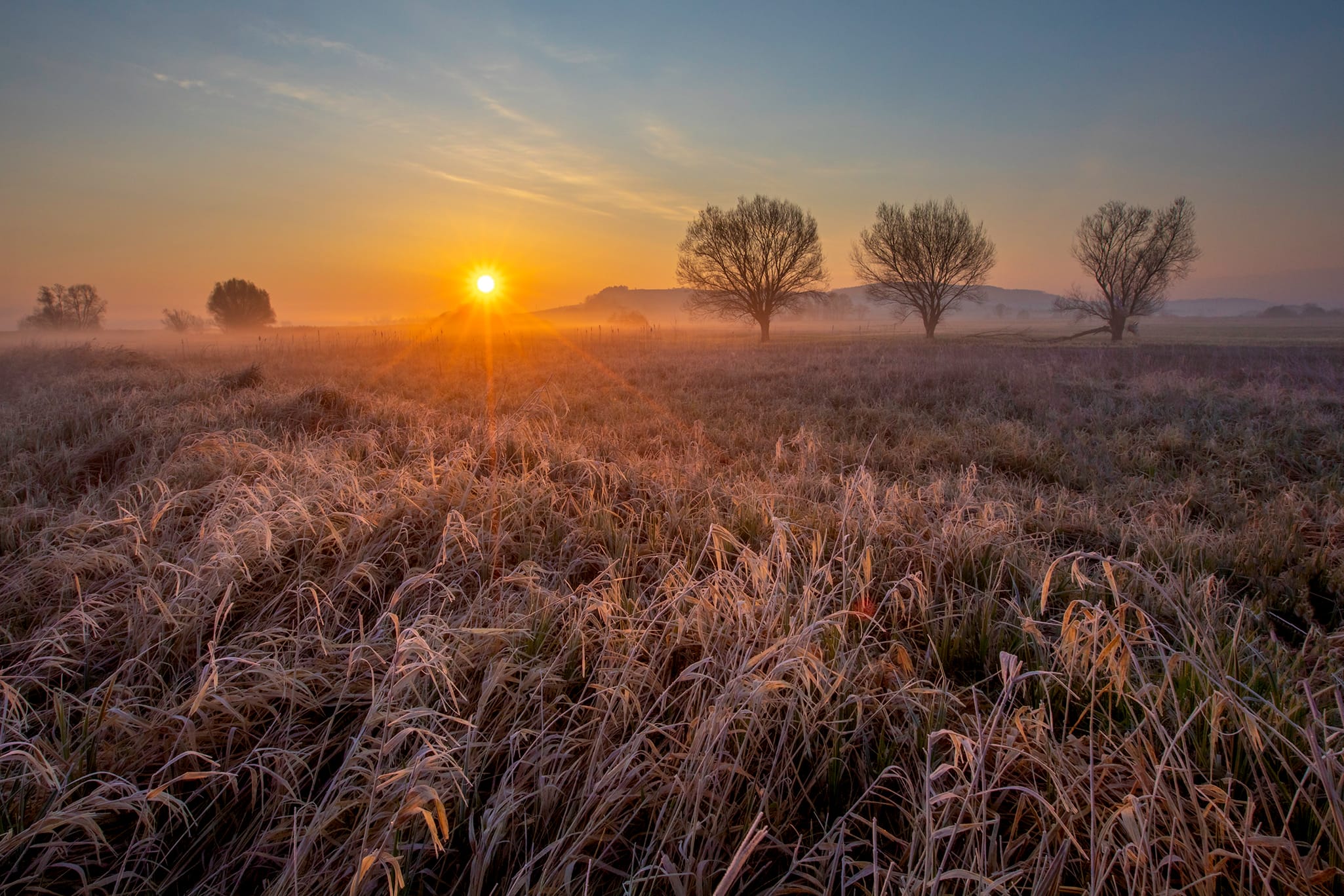 PONIDZIE - DOLINA NIDY