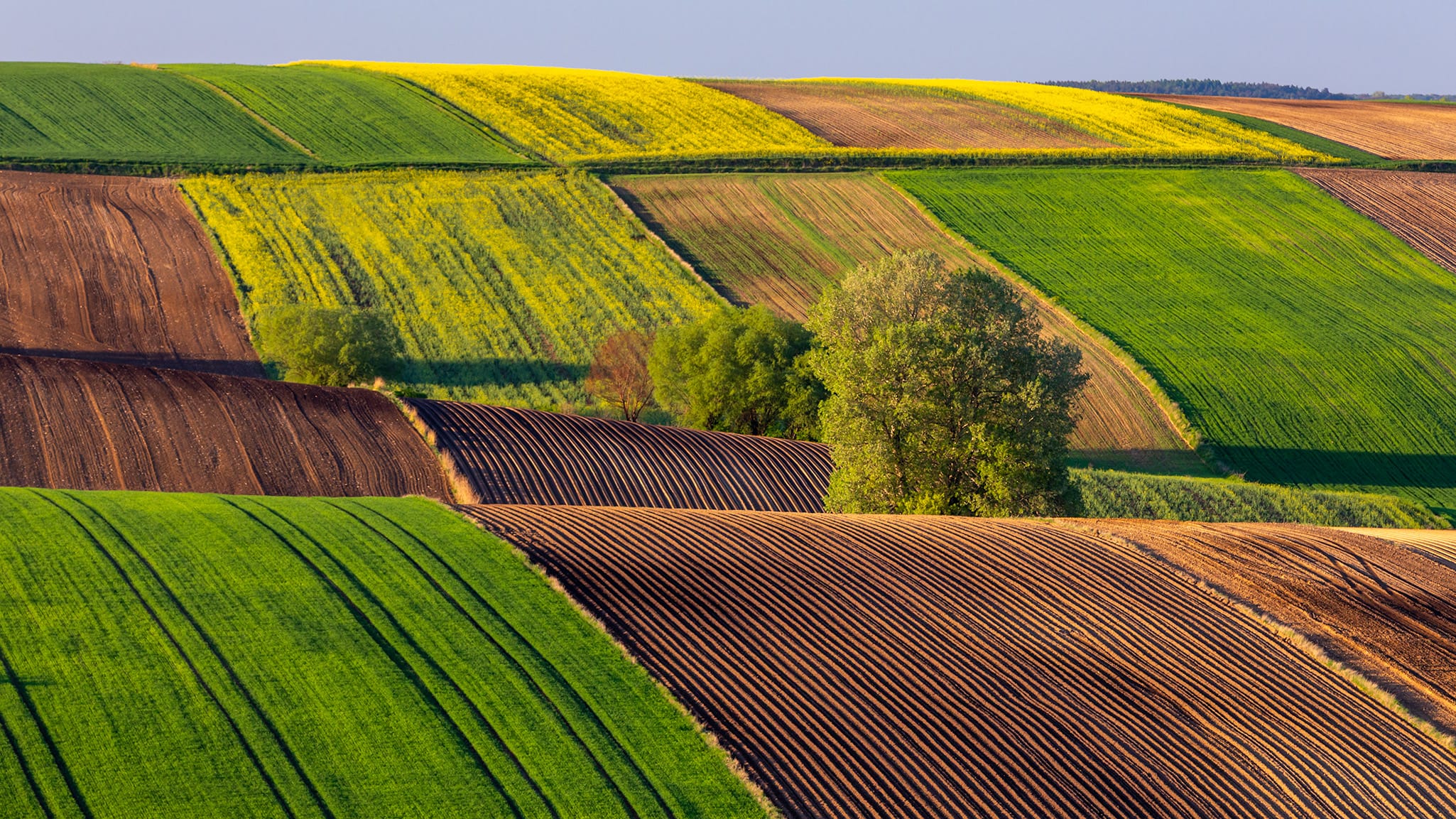 PONIDZIE - KRAJOBRAZ