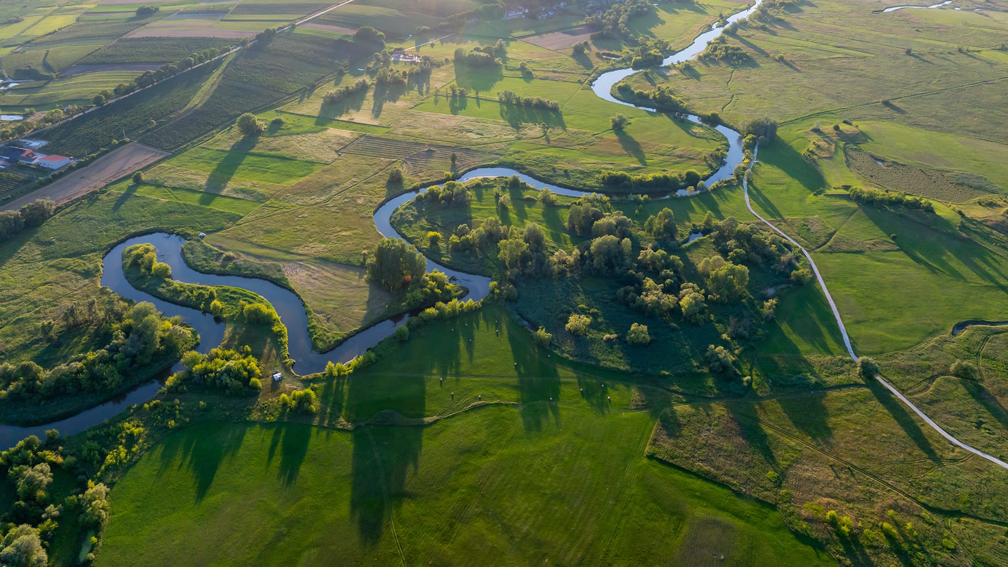RZEKA NIDA Z LOTU PTAKA